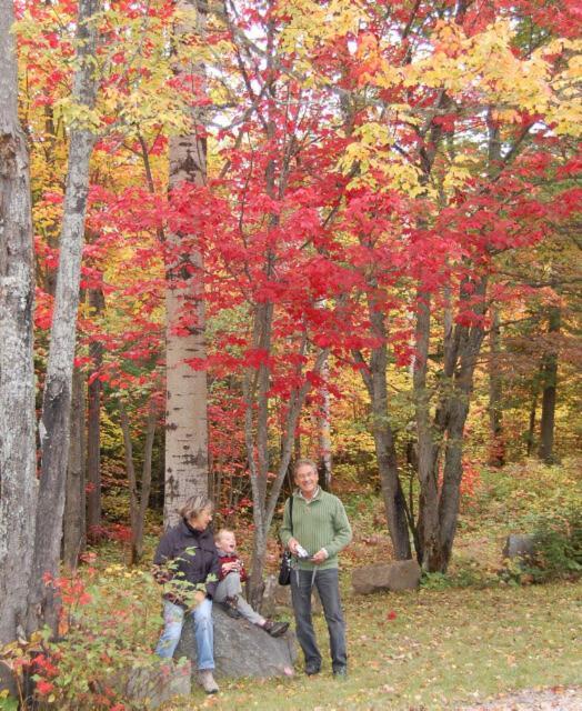 Domaine Le Bostonnais - Le Village En Bois Rond La Tuque Ngoại thất bức ảnh
