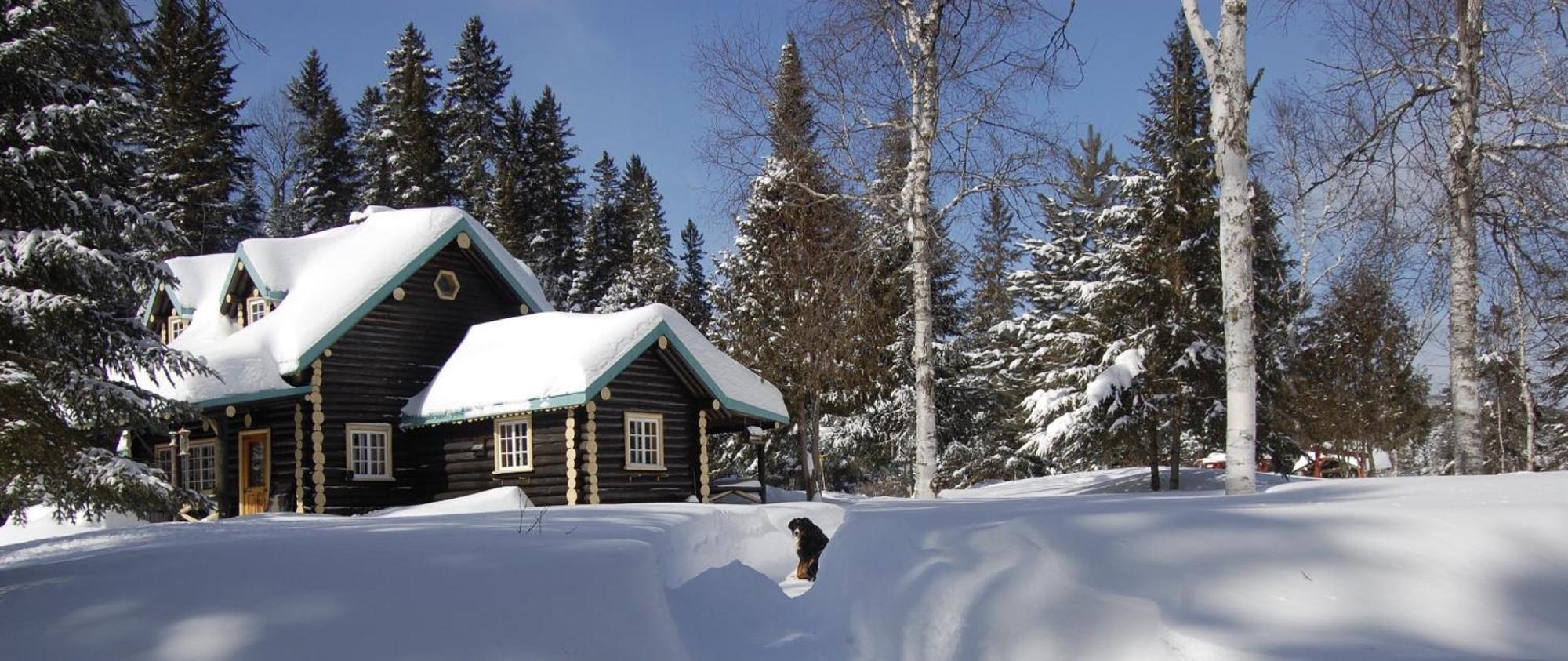 Domaine Le Bostonnais - Le Village En Bois Rond La Tuque Ngoại thất bức ảnh